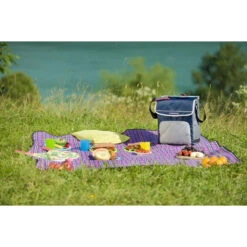 CAMPINGAZ Fold'N Cool 20L -Campingaz Magasin campingaz fold n cool 20l 2